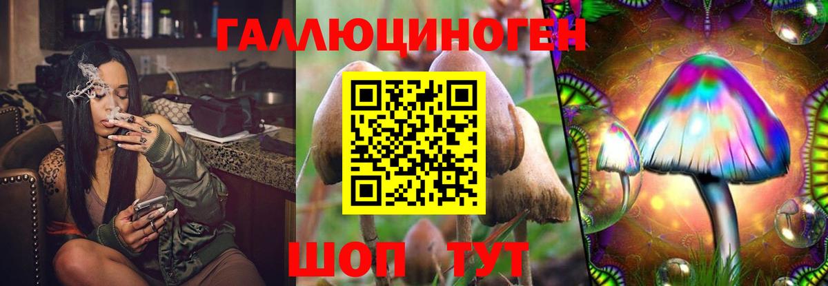 Псилоцибиновые грибы мухоморы Алатырь