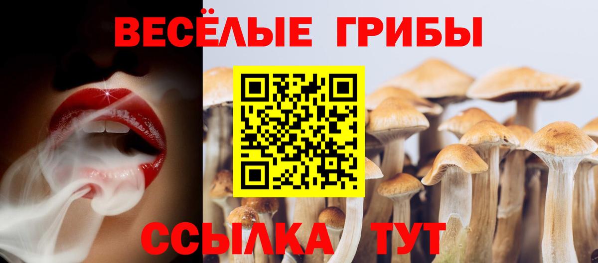 Галлюциногенные грибы GOLDEN TEACHER  Вход с VPN  Алатырь 